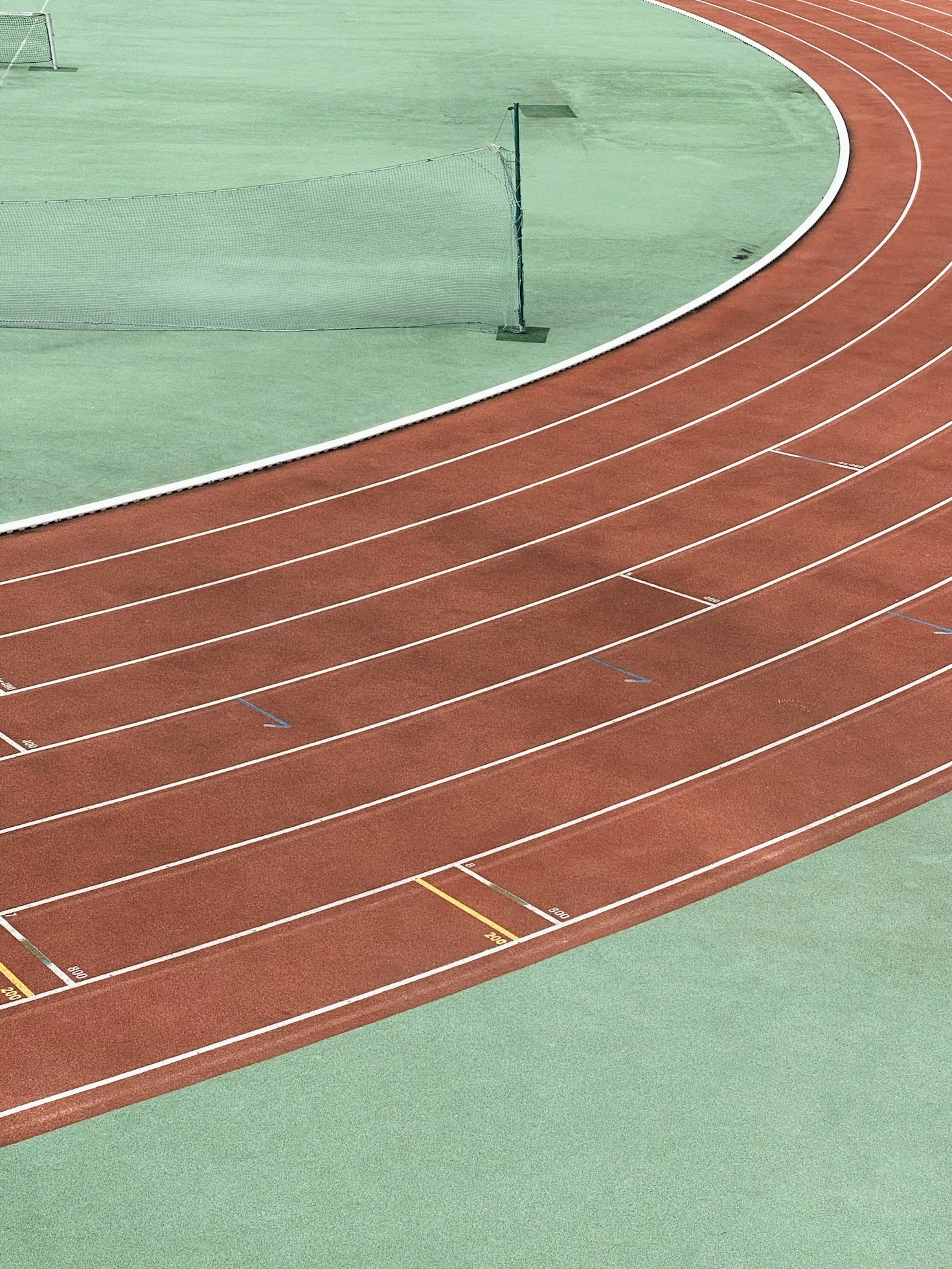 How Underdogs Have Redefined Competitive Spirit